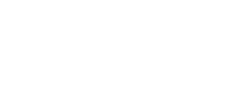 D&N Marine diesel & nautic logo